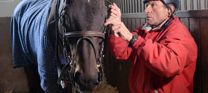 Josef Váňa prodává koně. Je na tom finančně bledě.