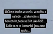 Koně jsou rádi, že mají kamaráda zpátky doma Koně jsou rádi, že mají kamaráda zpátky doma