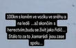 Koně jsou rádi, že mají kamaráda zpátky doma Koně jsou rádi, že mají kamaráda zpátky doma