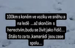 Koně jsou rádi, že mají kamaráda zpátky doma Koně jsou rádi, že mají kamaráda zpátky doma