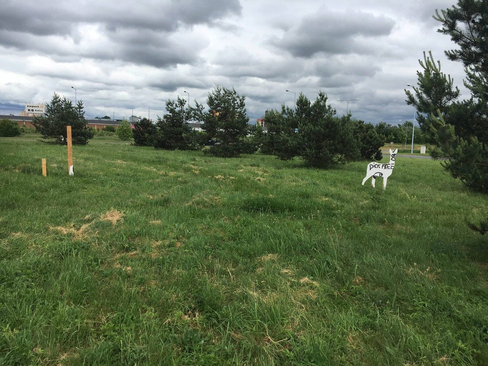 Vandal v Plzni poničil sprostými symboly auta i uměleckou instalaci