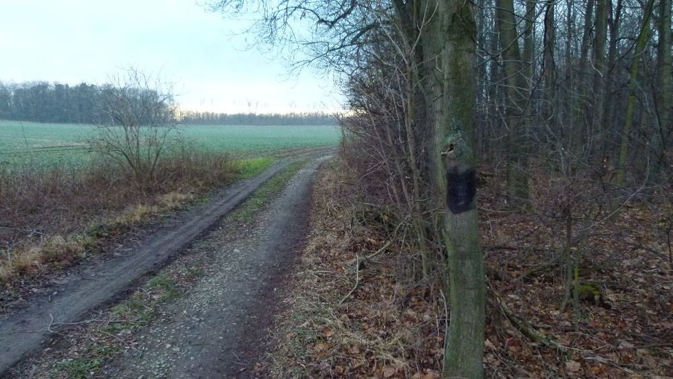 Členové spolku Mirosa při kontrole nových turistických značek nevěřili svým očím. Vandal je zamaloval černou barvou na čtyřkilometrovém úseku v obou směrech.