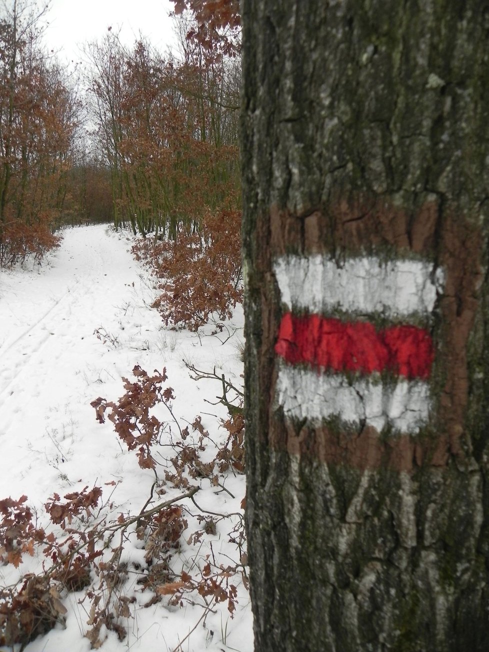 Tato turistická značka řádění neznámého vandala unikla.