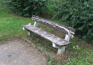 Neznámý vandal zdevastoval mobiliář v jednom z parků v Horních Počernicích montážní pěnou. Stalo se tak 1. zářijový týden.