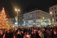 Trhy na „Svoboďáku“ v Brně ozdobí 80letá jedle: Přiveze ji povoz tažený koňmi