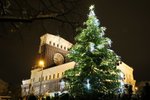 Hlavní trom Prahy 3 se i letoz nachází na Jiřího z Poděbrad. Jedná se o přibližně 10 metrů vysokou jedli kavkazskou.