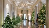 Vánoce v Bílém domě v duchu rovnosti a tradic. Tisíce světýlek, 77 stromků a hodiny práce!