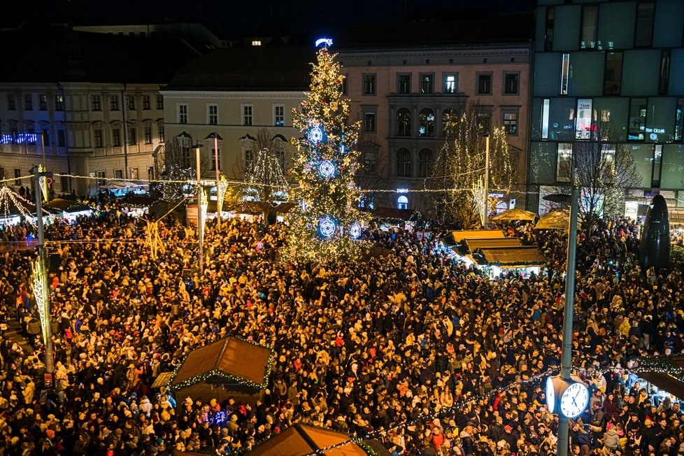 Tak vypadá letošní vánoční strom na náměstí Svobody v Brně.