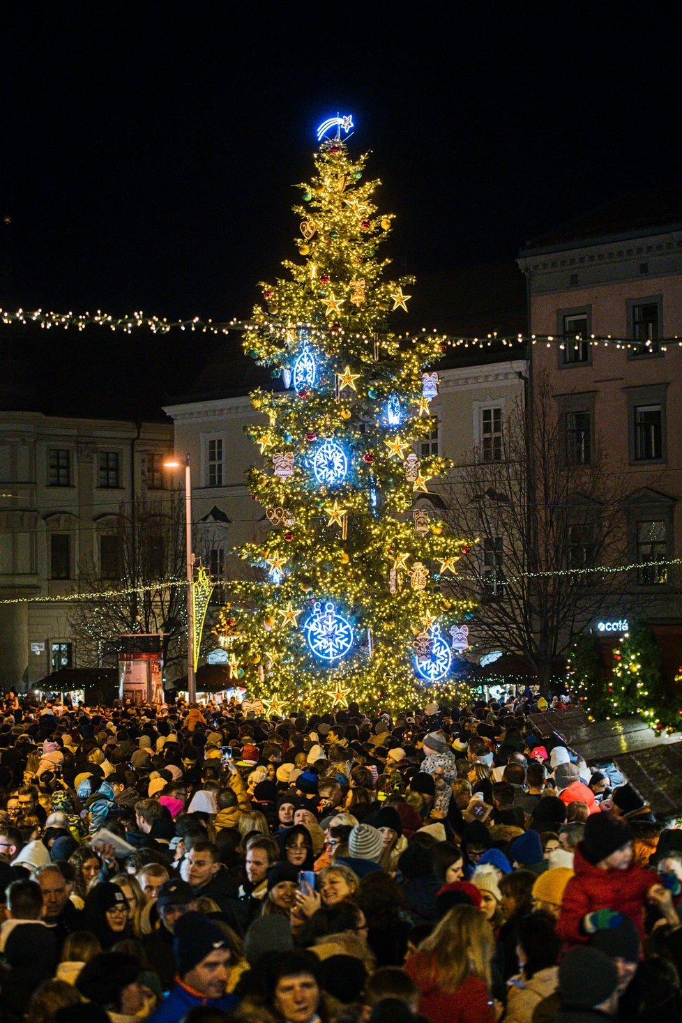 Kasička pod vánočním stromem na náměstí Svobody v Brně.