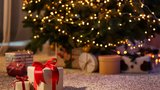 7 vánočních dárků, které koupíte online v Česku