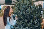 Jak vybrat živý vánoční stromek: Je lepší jedle, nebo smrk?