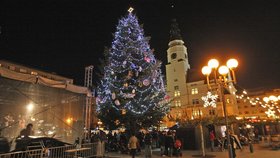 Tak vypadal vánoční strom v Opavě před několika lety.