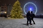 Strom na Masarykově náměstí musí být vyměněn, objevila se na něm velká trhlina. Vánoční trhy byly zrušeny už 26. listopadu.