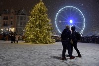 Prasklina dlouhá dva metry! Ostrava odklízí vánoční strom z náměstí