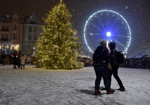 Strom na Masarykově náměstí musí být vyměněn, objevila se na něm velká trhlina. Vánoční trhy byly zrušeny už 26. listopadu.