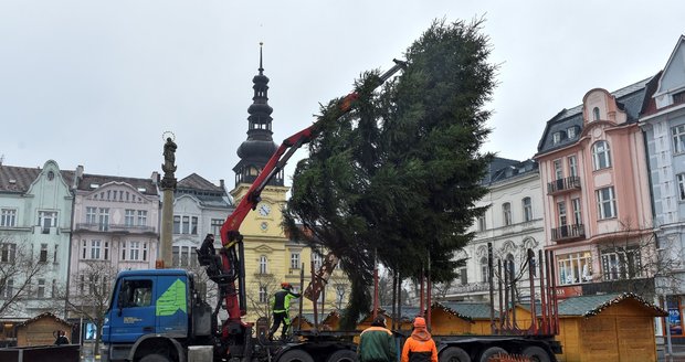 Ostrava zažije další stěhování vánočního stromu. Ten stávající je totiž prasklý a musí být odstraněn. Na Masarykovo náměstí bude přivezen jiný.