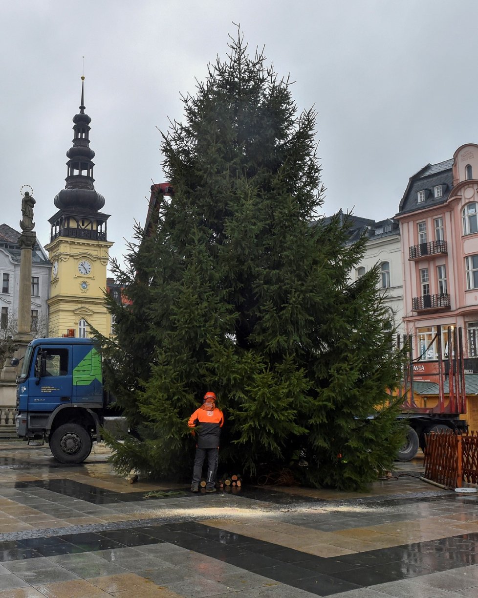 Ostrava zažije další stěhování vánočního stromu. Ten stávající je totiž prasklý a musí být odstraněn. Na Masarykovo náměstí bude přivezen jiný.
