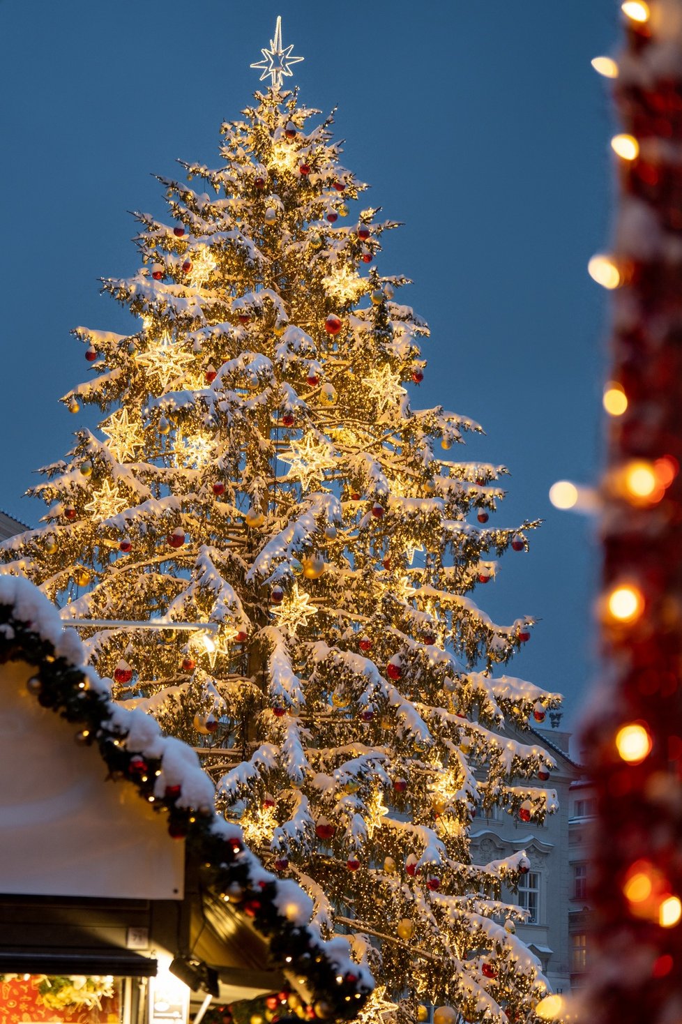 Vánoční strom na Staroměstském náměstí.