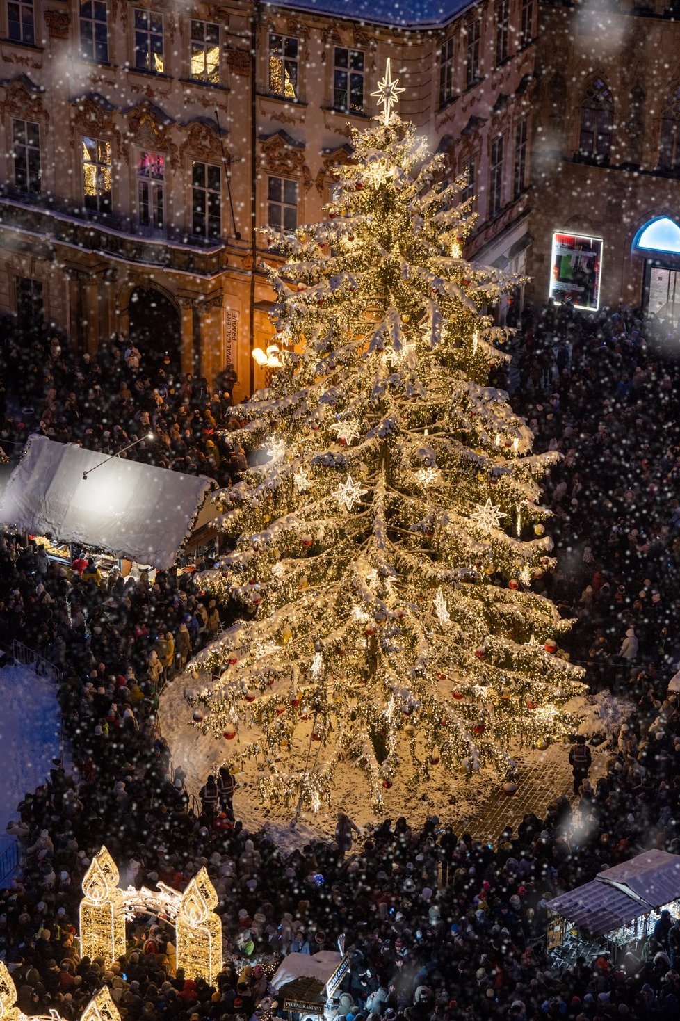 Vánoční strom na Staroměstském náměstí 2023.