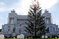Opelichaný vánoční strom čeká další kariéra. „Plešouna“ by někteří chtěli do muzea