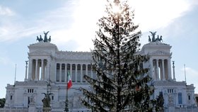 Vánoční strom v Římě, který způsobil těžkou hlavu úředníkům na tamní radnici a stal se terčem posměchu, protože z něj jehličí opadávalo už před svátky, možná čeká další kariéra.