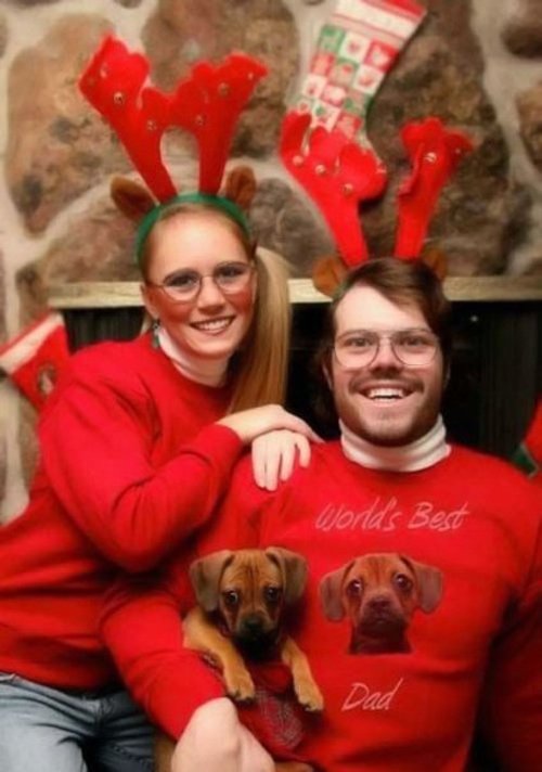 Šílené vánoční fotky: Dva sobi a dva psi. Jeden ale jen na svetru.