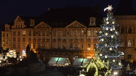 Historie stromů na Staroměstském náměstí: Jak vypadaly za protektorátu i za normalizace?