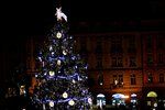Takto vypadá nový vánoční stromek na Staroměstském náměstí pro rok 2017.