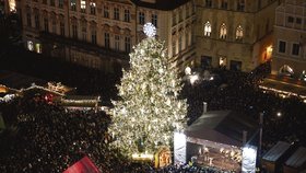V mnoha městech republiky se o tomto víkendu rozsvítí vánoční strom. Advent začíná v neděli.