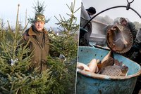 Rybáři a prodejci vánočních stromků: Kilo kapra za 80 Kč, stromek už za 300 Kč!