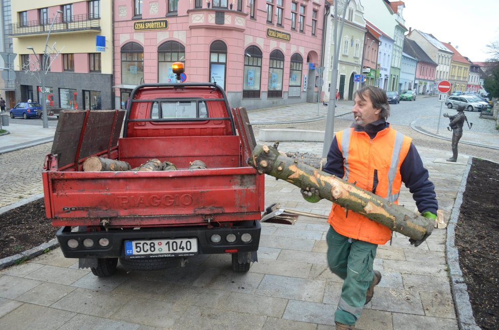 Strakonice narychlo vyměnily stromek, kterému se smálo celé město.