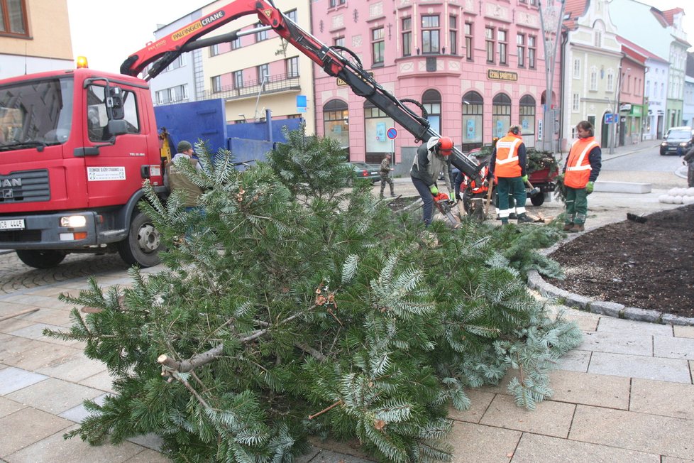 Strakonice narychlo vyměnily stromek, kterému se smálo celé město