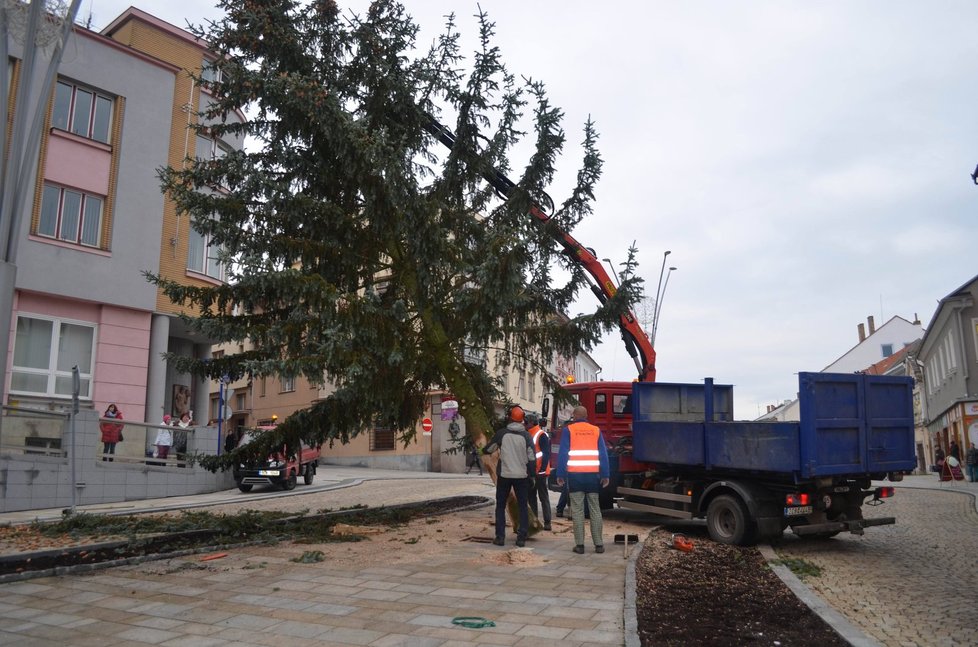 Strakonice narychlo vyměnily stromek, kterému se smálo celé město