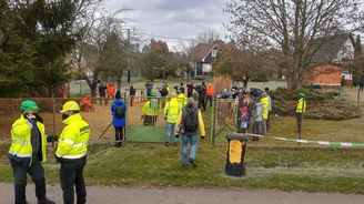 Do Prahy míří vánoční strom, sledujte kácení a převoz stromu živě