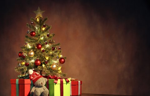 Vánoce za dveřmi: Vyberte si správně stromeček a starejte se o něj!