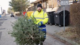 Stromky zavalily popelnice: V Třinci symbol Vánoc drtí a přimíchají do kompostu