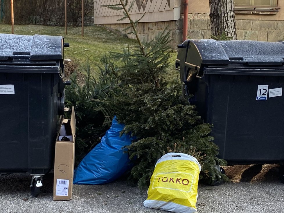 U popelnic se hromadí odložené vánoční stromky. V Třinci z nich dělají štěpku.