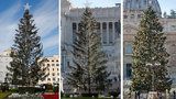 Pozdvižení v Římě: Vánoční stromeček se mění v opelichané torzo! Místní mu říkají »Prašivka«