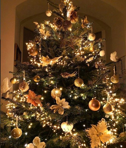 Vánoční stromeček Ivy Kubelkové