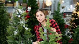 Jak poznat stromek, který neskončí v koši hned po Štědrém dnu? Jak poznat stromek, který neskončí v koši hned po Štědrém dnu?