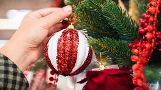 Když stromeček opadává, není to náhoda. Tuhle chyba dělá většina lidí Když stromeček opadává, není to náhoda. Tuhle chyba dělá většina lidí