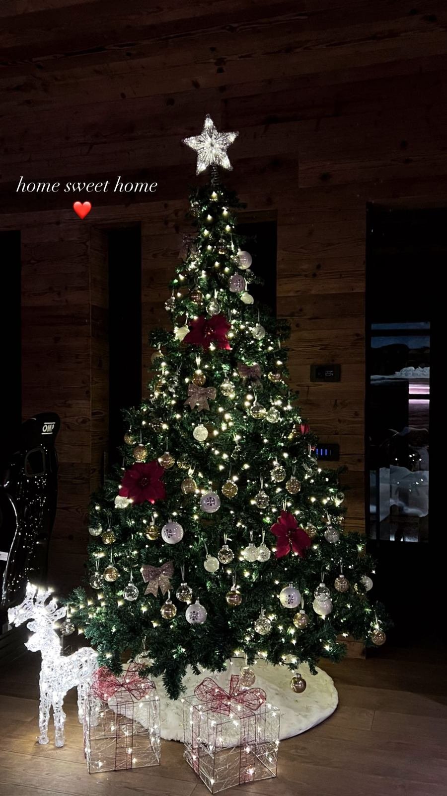 Vánoční stromeček, kterým se pochlubila přítelkyně Valentina Rossiho.