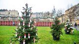 Na náměstí Míru soutěží vánoční stromky zdobené dětmi. Vítěz poputuje do kostela