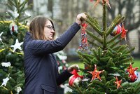 Radnice ve Stodůlkách láká na rozsvícení stromku: „Čeká vás vánoční besídka i koncert“