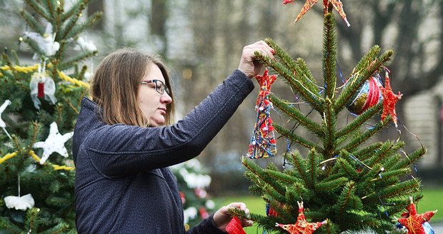 Už ve středu 6. prosince Praha 13 rozsvítí vánoční strom v Centru Velká Ohrada. (Ilustrační foto)