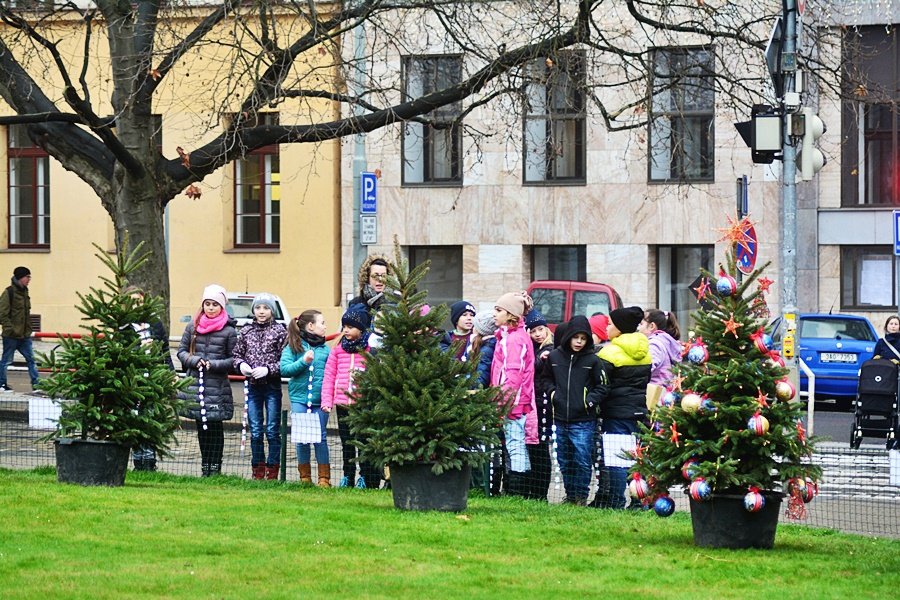 Děti zdobily vánoční stromečky na náměstí Míru.