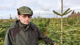 Mojmír Pretsch (50) z Větřkovic na Opavsku se s manželkou stará o plantáž 8000 vánočních stromečků.