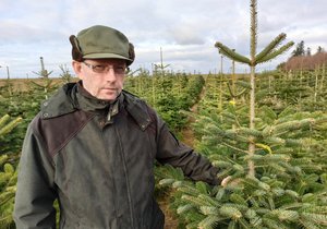 Mojmír Pretsch (50) z Větřkovic na Opavsku se s manželkou stará o plantáž 8000 vánočních stromečků.