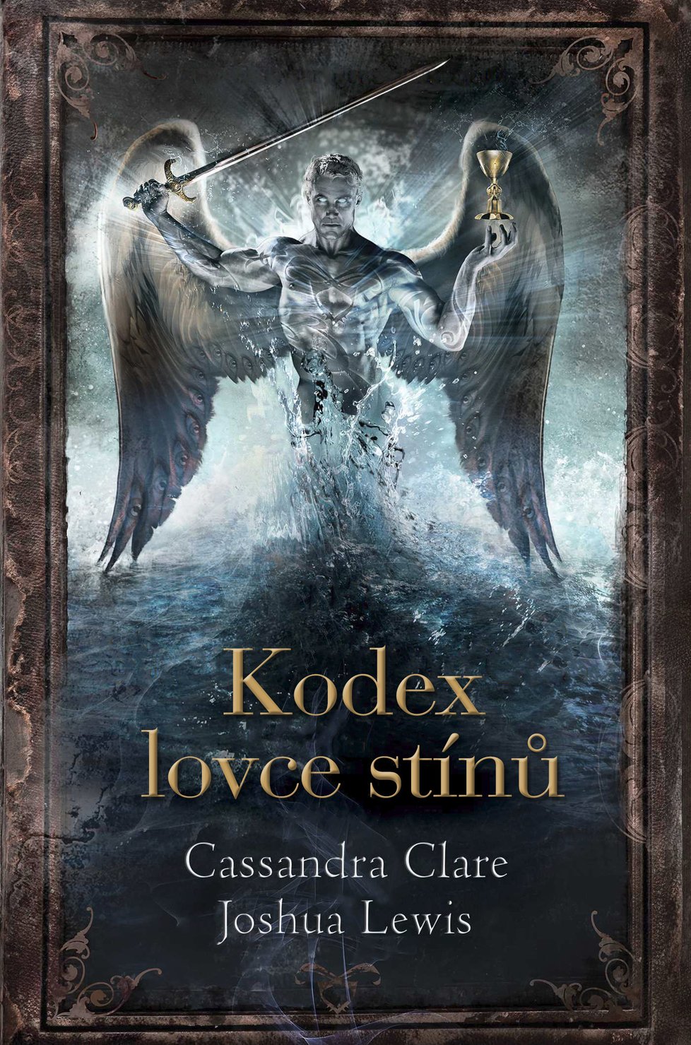 Kodex lovce stínů 349 Kč, slovart.cz