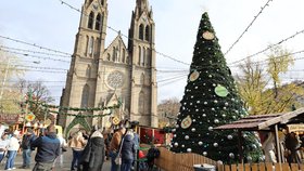 Trhy na náměstích velkých měst přinesly do Česka sváteční čas: Drahá vánoční atmosféra! V Brně bramborák za 230 Kč